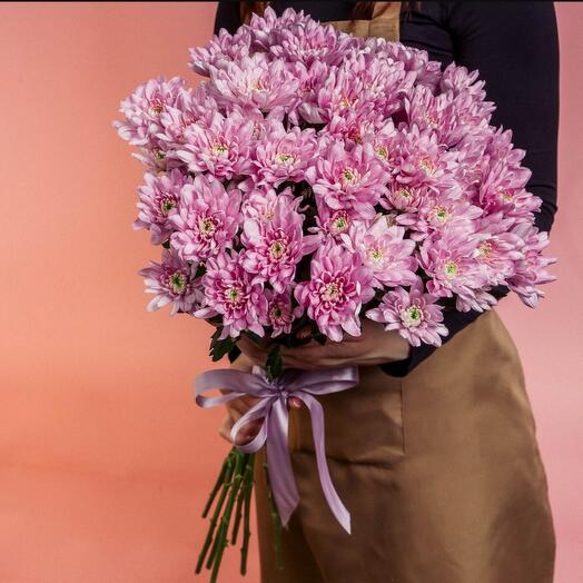 7 Baltic pink chrysanthemums