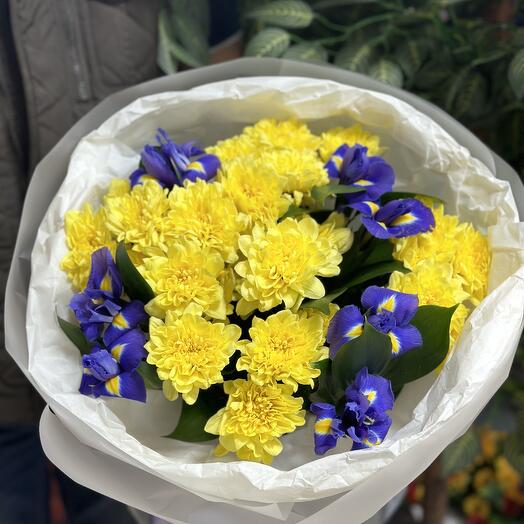 Лучи надежды