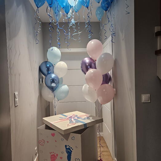 Gender Party üçün qutu