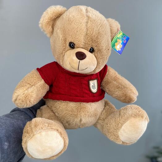 Мишка в красном свитре🧸