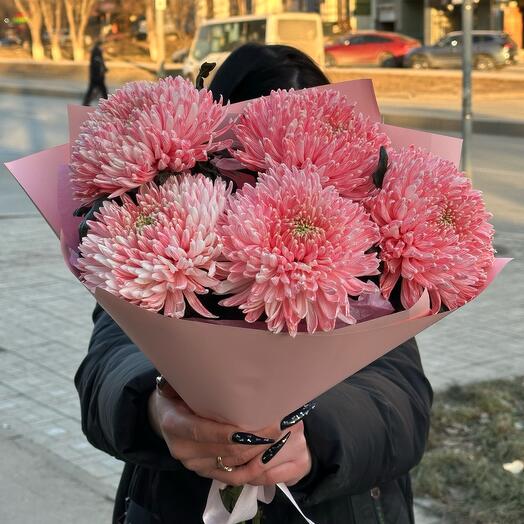 Crisantemos rosados de una sola cabeza en un ramo