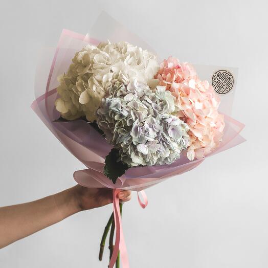 Микс светлых гортензий