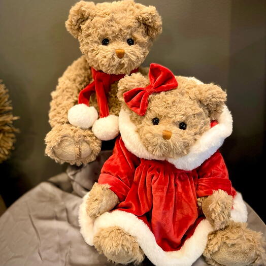 Winter Teddy Boy  Girl