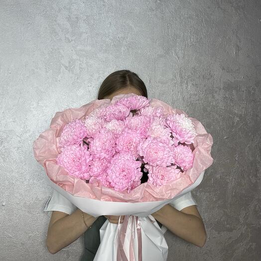 Mono de crisantemo rosa