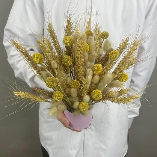 Композиция из сухоцветов с краспедией