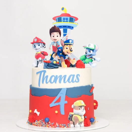 PAW PATROL THEME CAKE