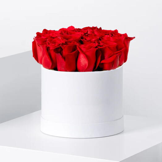 Valentines Day Red Roses White Box