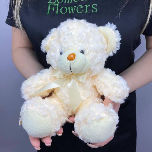 Mini teddy bear