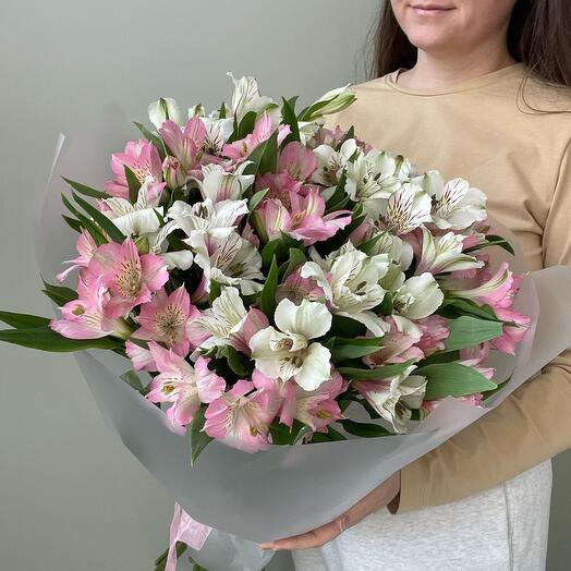 15 mezcla de alstromeria por paquete