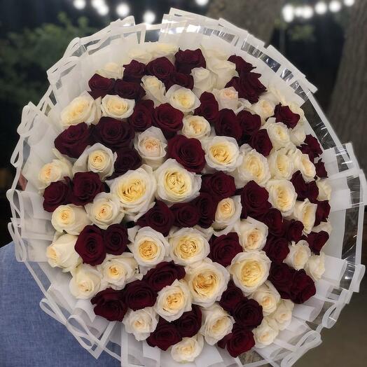 101 Holland Rose N-063