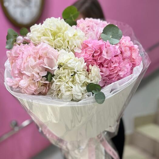 A bouquet of lush hydrangeas