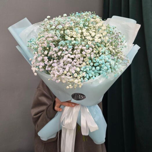 Ramo de gypsophila