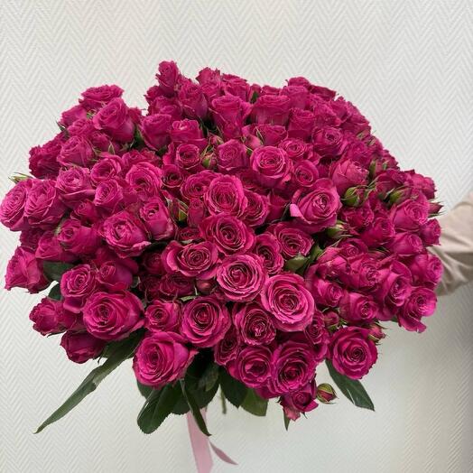 Purple Irishka