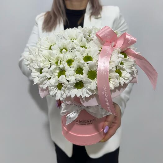 Ромашки в подарочной коробке 💞 Камелия Flowers Shop