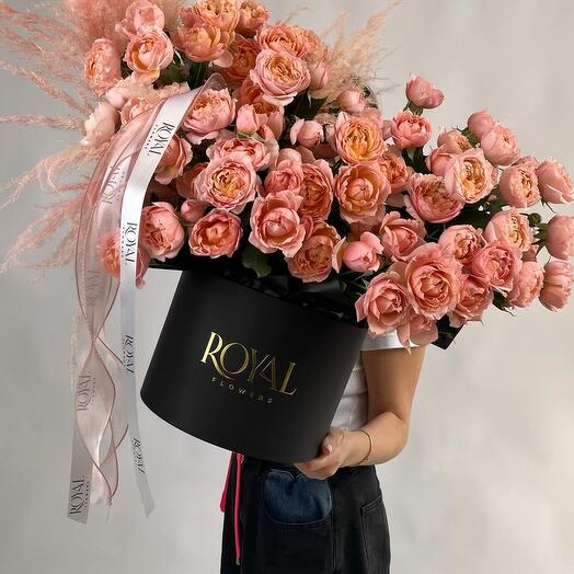 Королевский закат