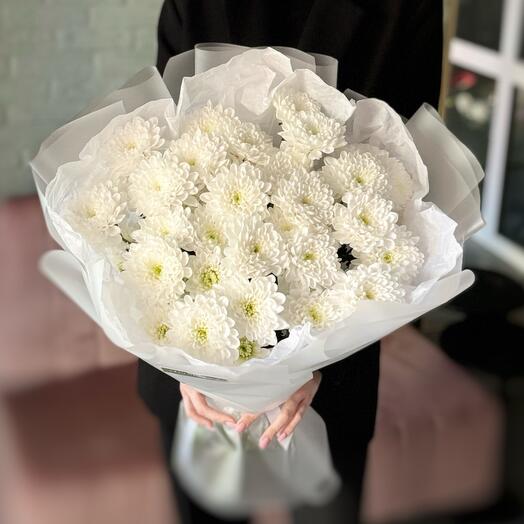 Stylish chrysanthemums