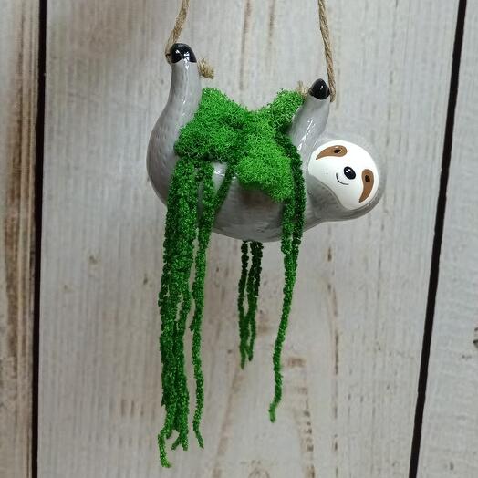 Ленивец со стабилизированным мхом и амарантом