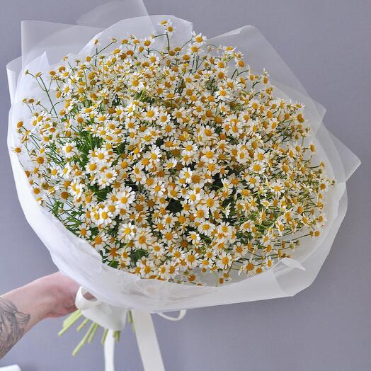 Облако ромашек