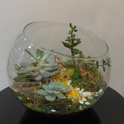 Флорариум Оленята