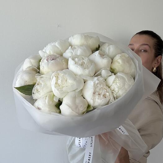 Royal peony