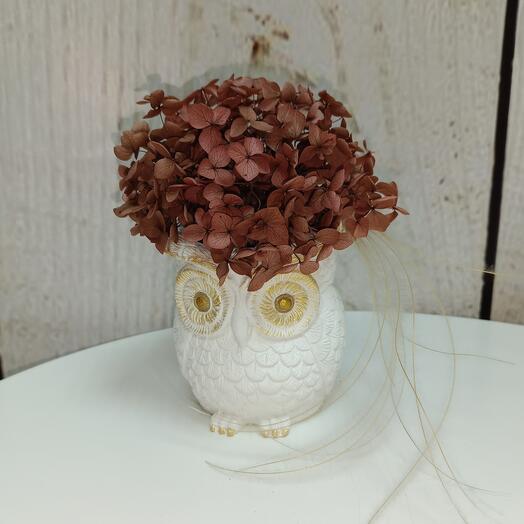 Интерьерная композиция из стабилизированной гортензии и стифы Сова Мокко