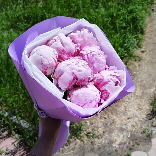 Пион розовый Букет (7 шт)