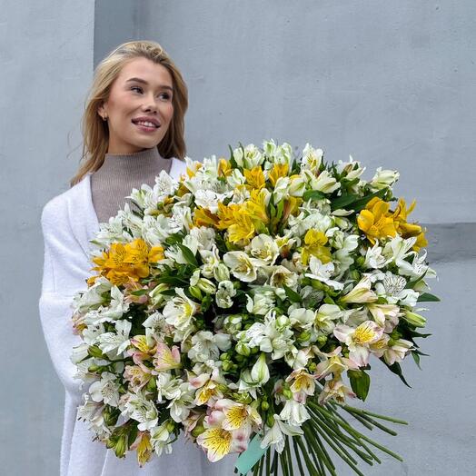 Альстромерия