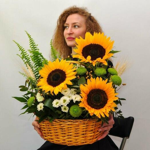 Лето в корзинке🌻 Шикарные подсолнухи, океан зелени и нефролепис в горшочке