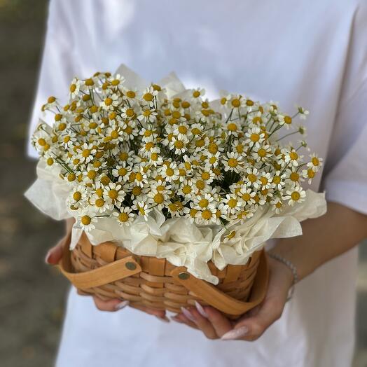 Корзинка ромашек