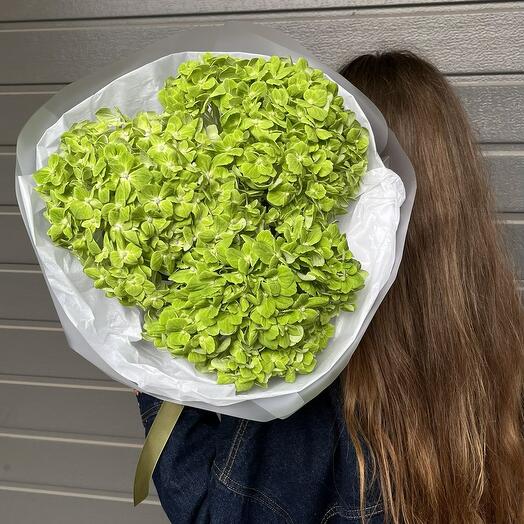 Букет из зеленых гортензий 3 шт