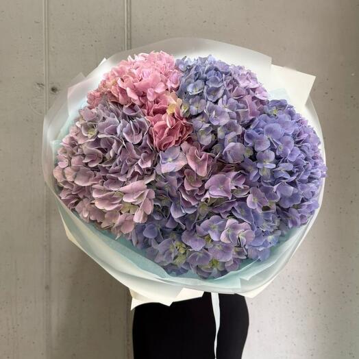 Воздушная гортензия