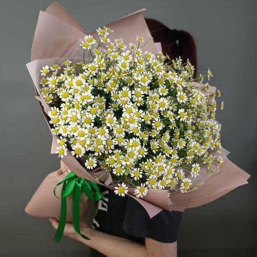 Ромашки 🌼