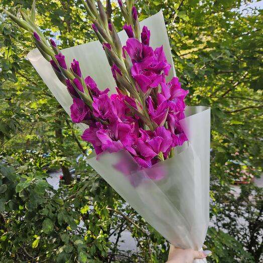 Гладиолусы к 1 сентября, широкое раскрытие, 5 штук