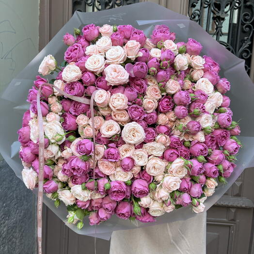 Girls dream