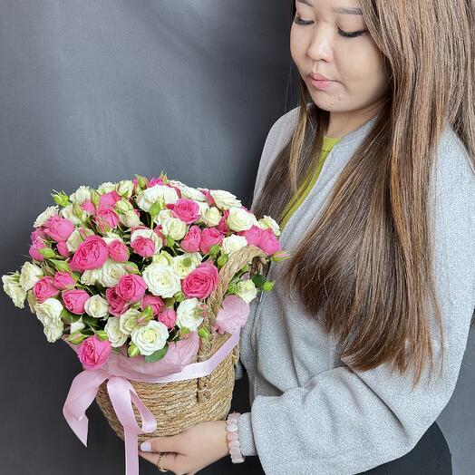 Грация Софии