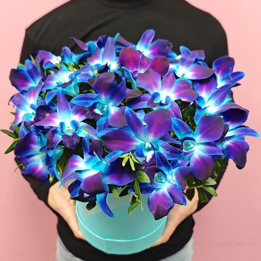 Космическая орхидея дендробиум в коробке