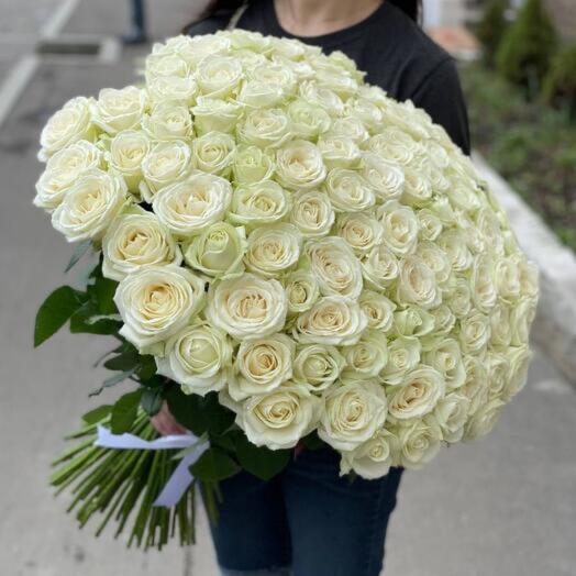101 white roses