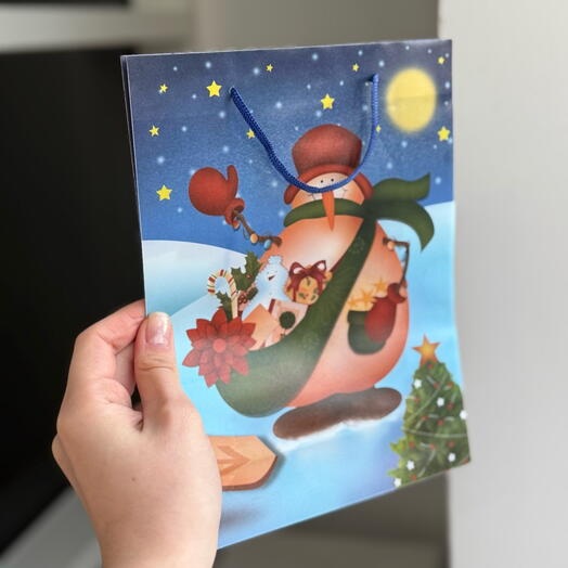 Пакет подарочный