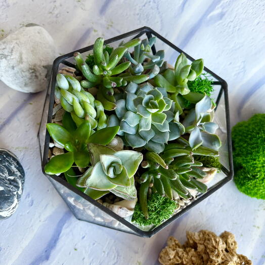 Цветы в кашпо подарок для любимой