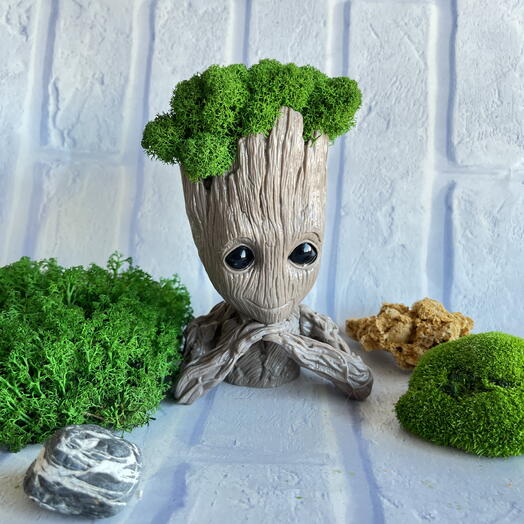 Грут со мхом подарок на день рождения