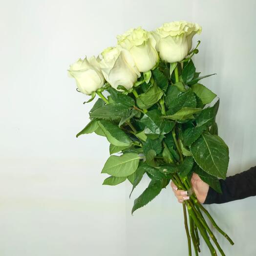 Розы 11 штук 60 см Ангел