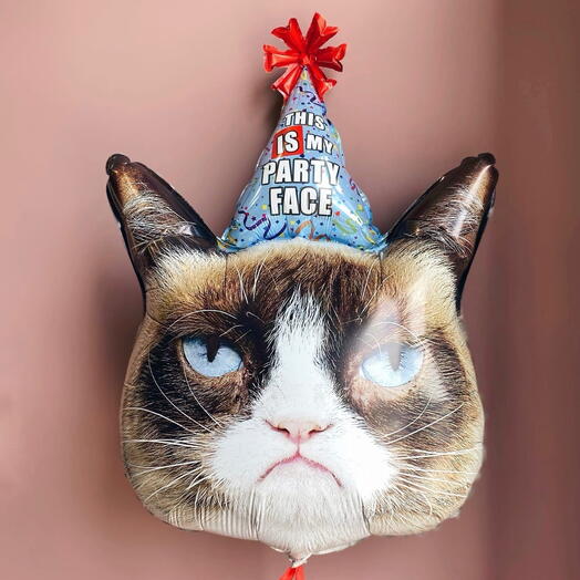 Шар фигура Кот Partyface