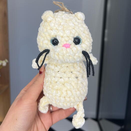 Котик с усами