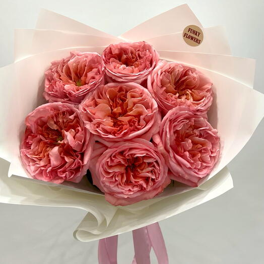 Pink expression 7