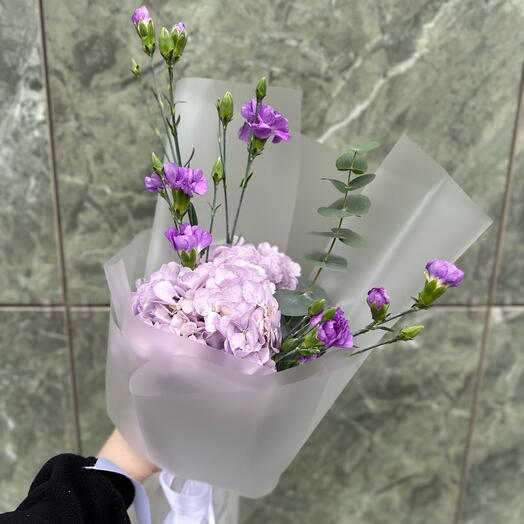 Милая гортензия