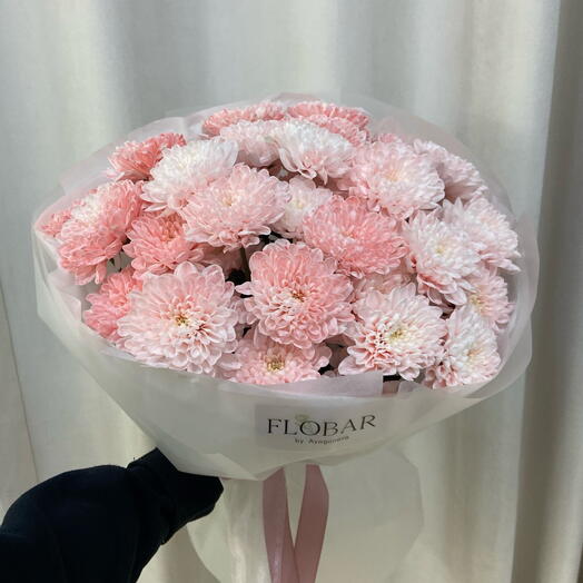 Хризантемы Балтика