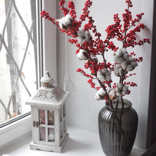 Цветы для дома илекс и хлопок