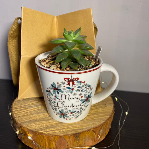 Новогодняя композиция "Кружка с суккулентом" необычный подарок