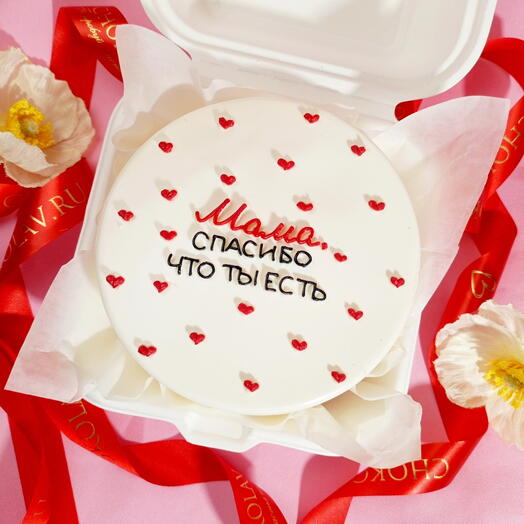 Bento cake for mom "Mom, thank you for being there"