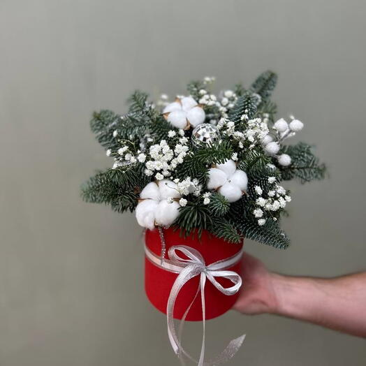 Новогодняя композиция с нобилисом